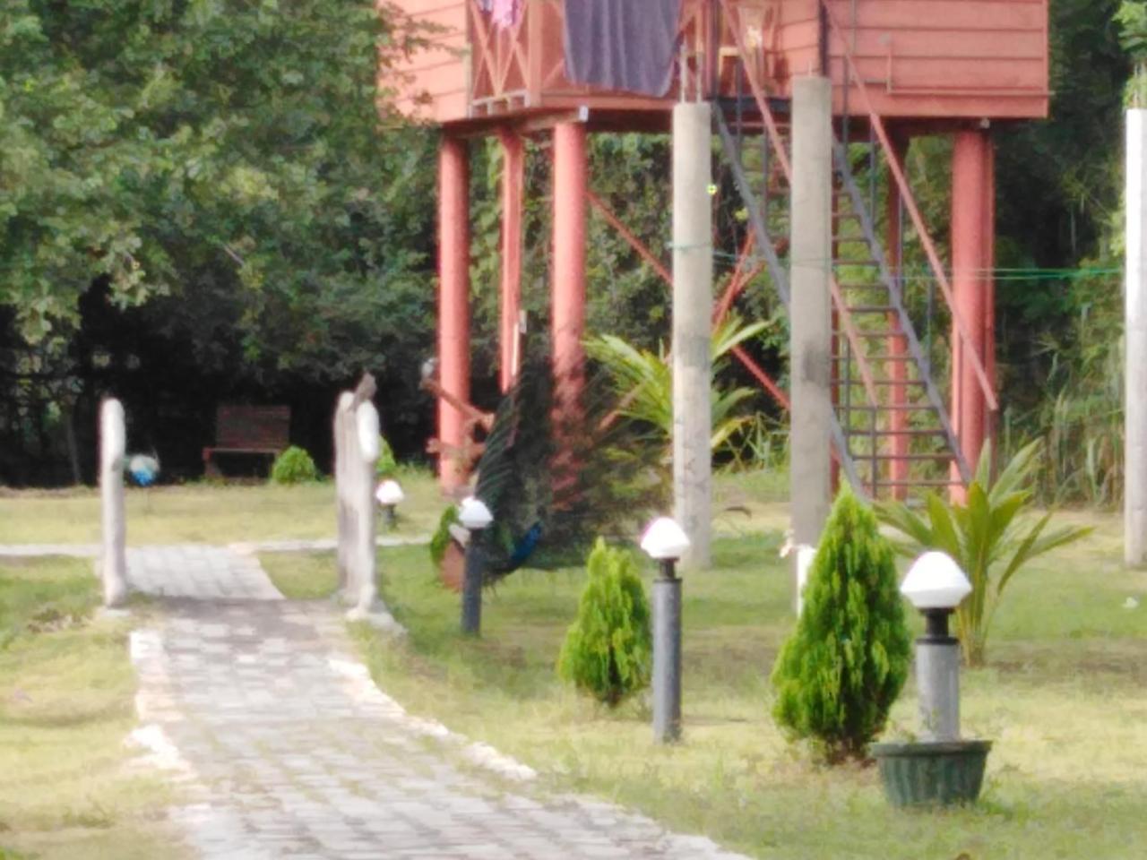 Sigiri Royal Point Tree House Hotel Sigiriya Exterior foto